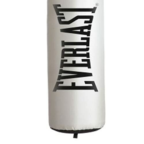 Everlast punching bag