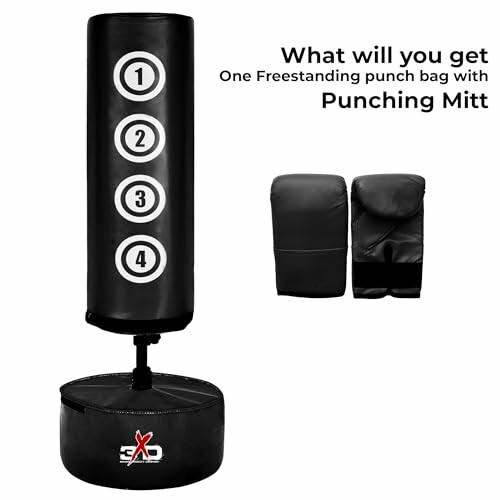 Freestanding punch bag and punching mitts.