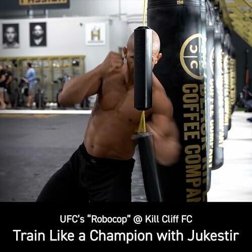 Jukestir® Punching Bag